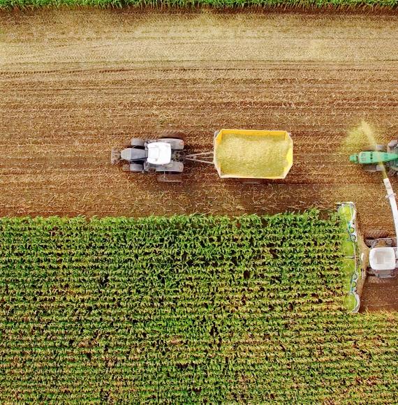 Farm machines harvesting corn in Midwest, September, aerial view.