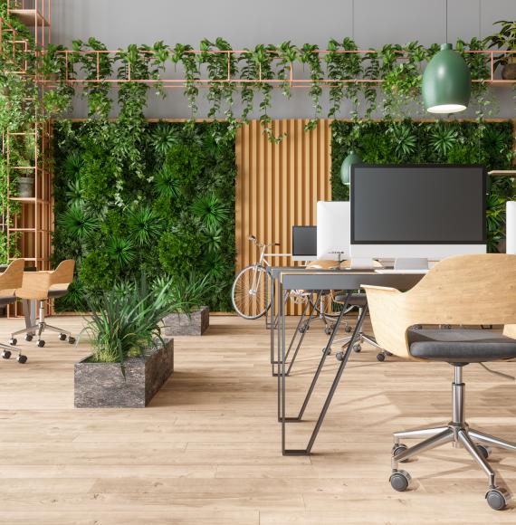 Eco-friendly office