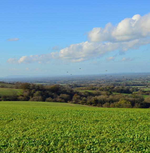 Panoramic view of west sussex