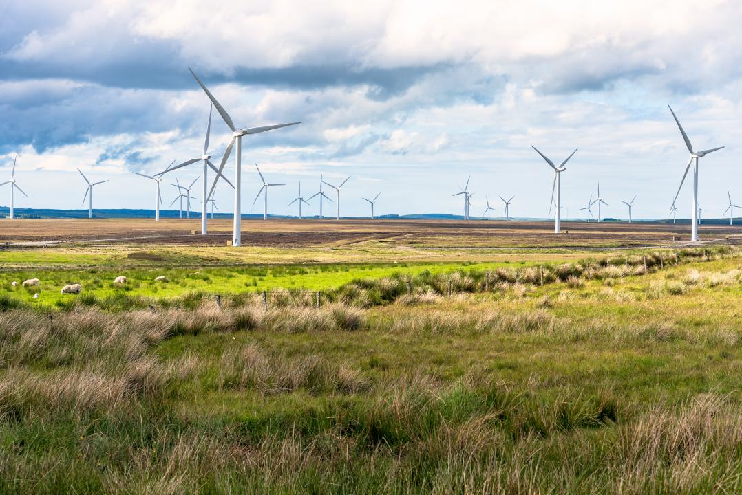 Wind farm