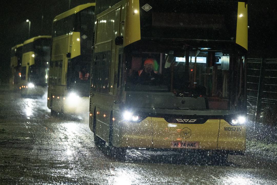 Bee Bus at Night