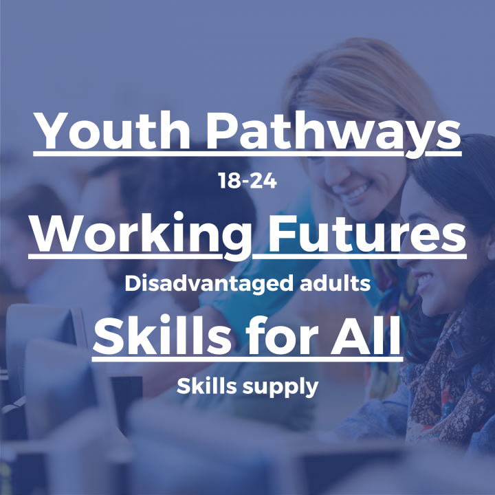 LGA Skills graphic