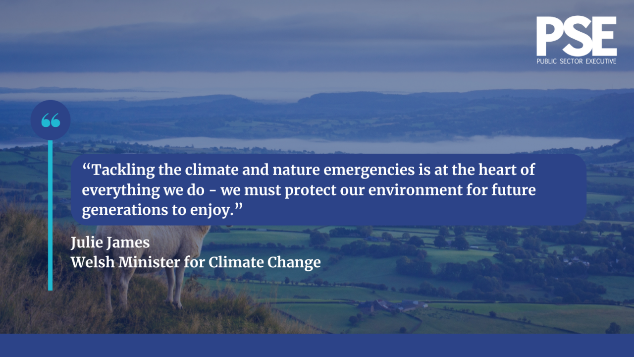 Welsh environment quote