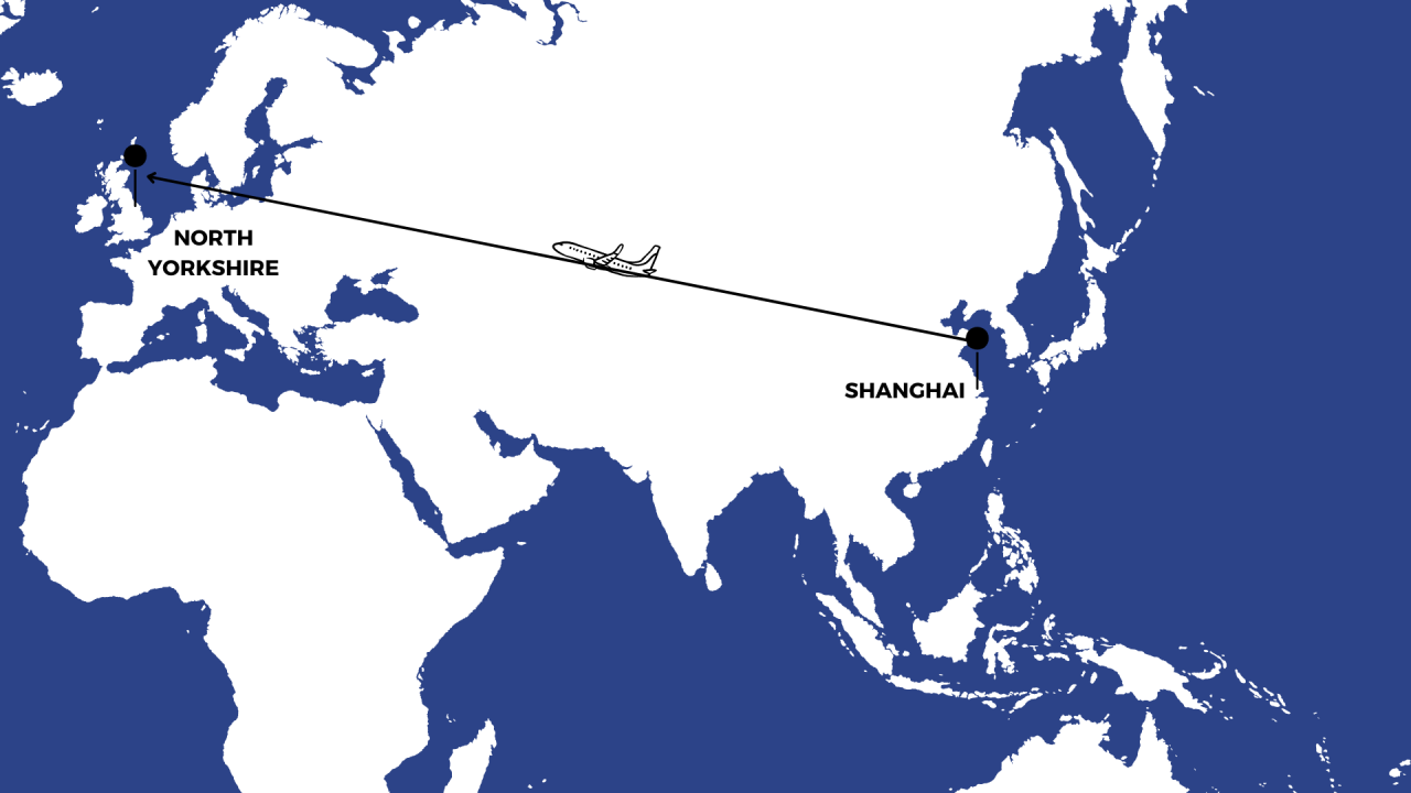 YANY china GRAPHIC