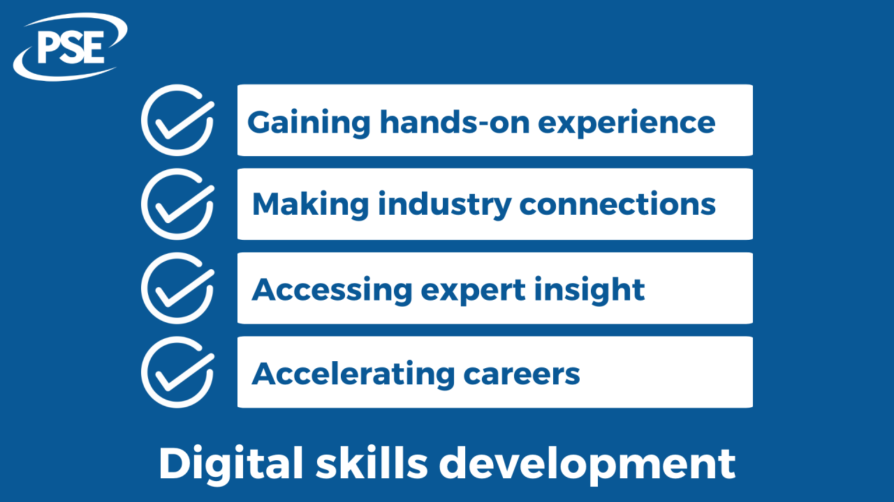 Infographic on digital skills