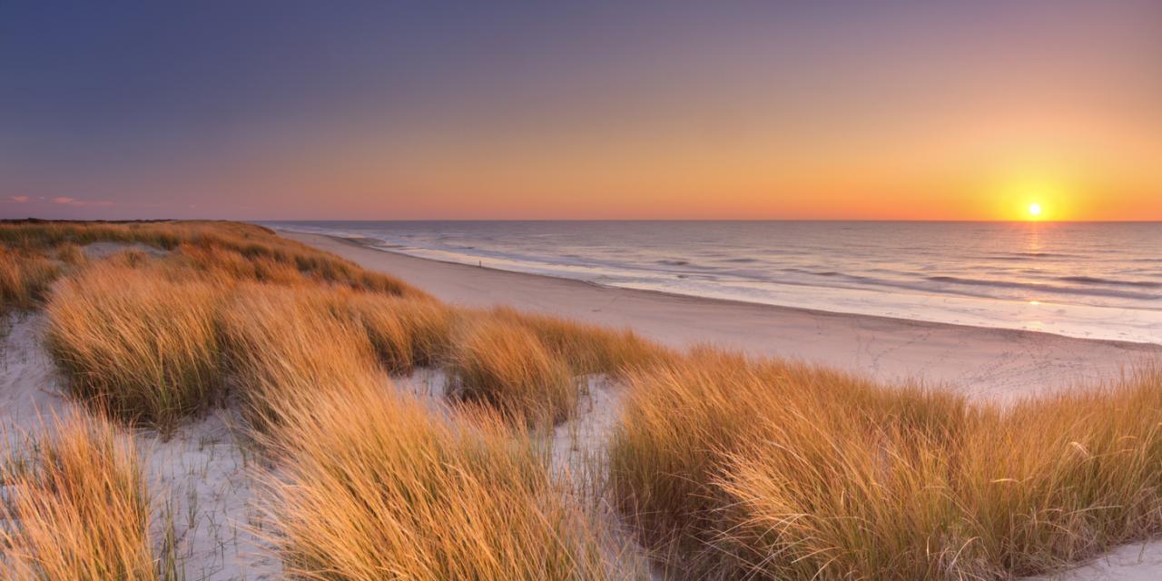 Sand dune on a North Sea beach