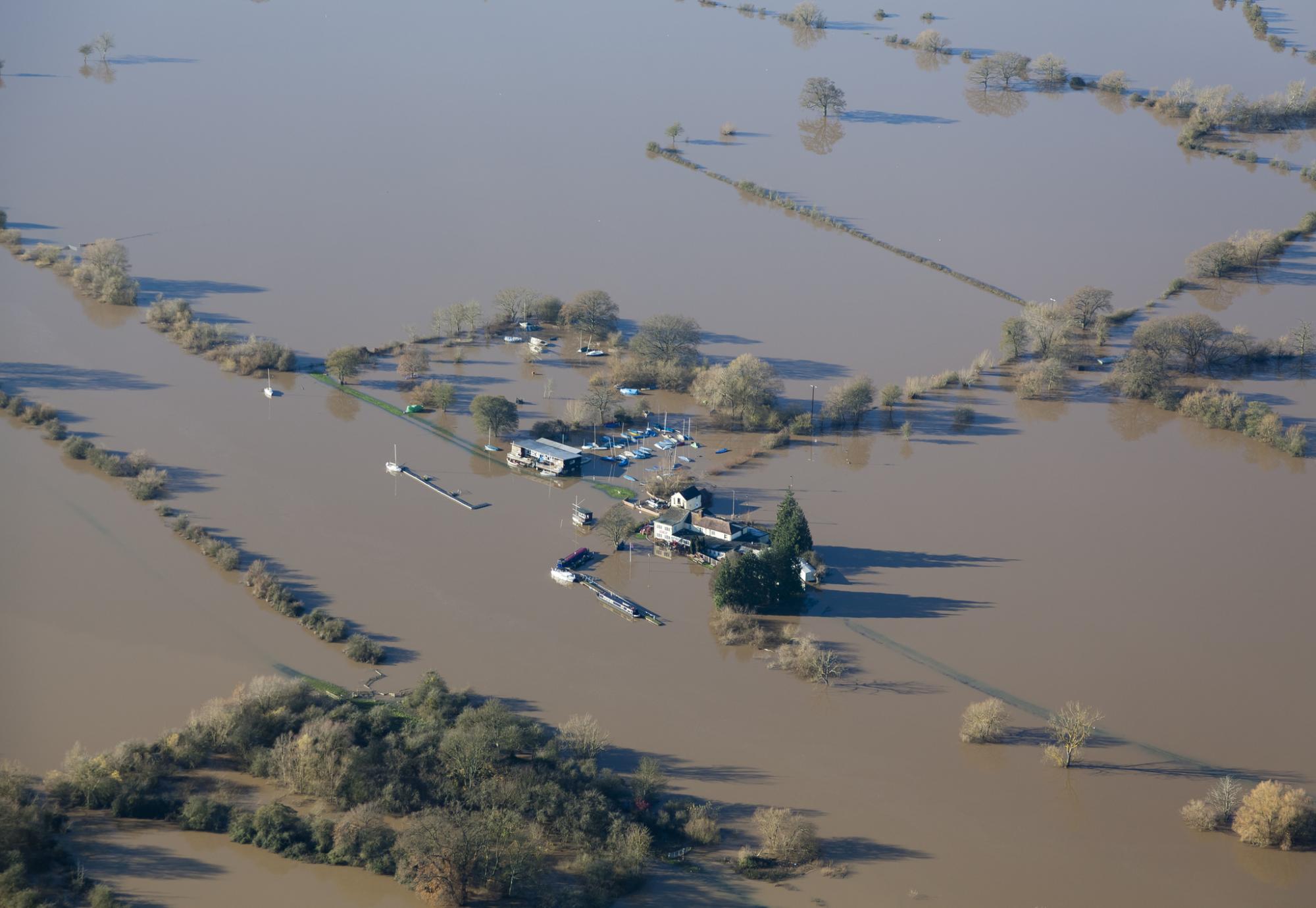 Flooded fields