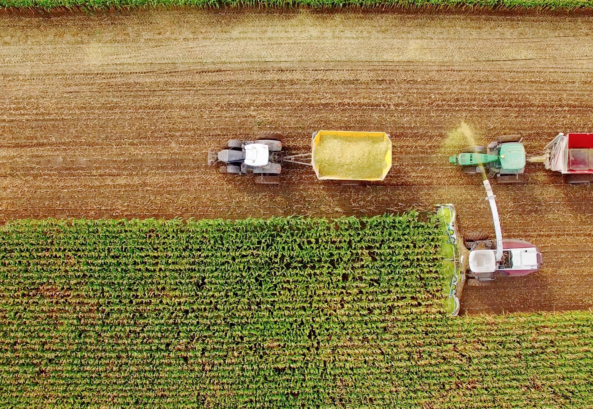 Farm machines harvesting corn in Midwest, September, aerial view.