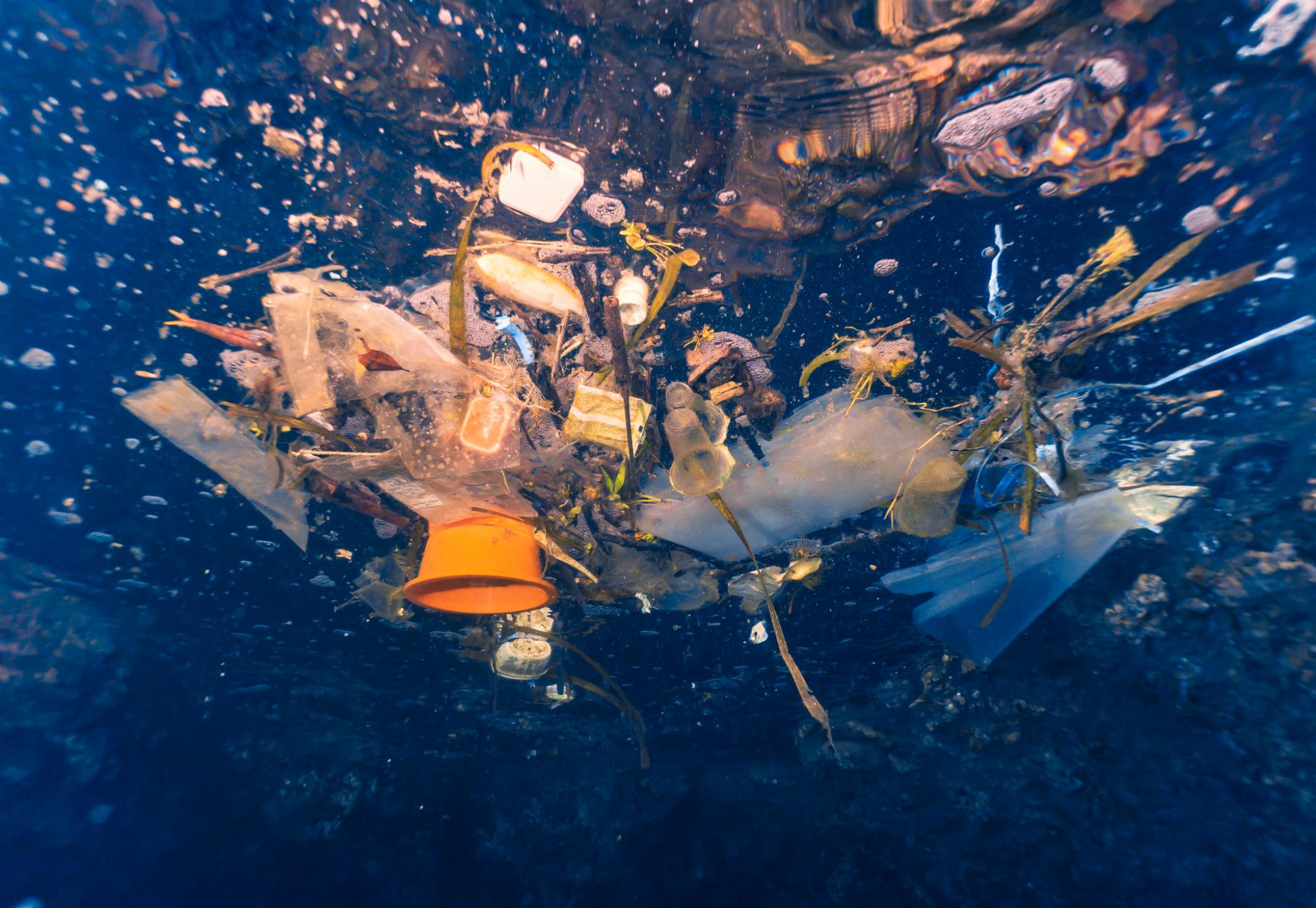 Discarded single use plastic drifts in the ocean.