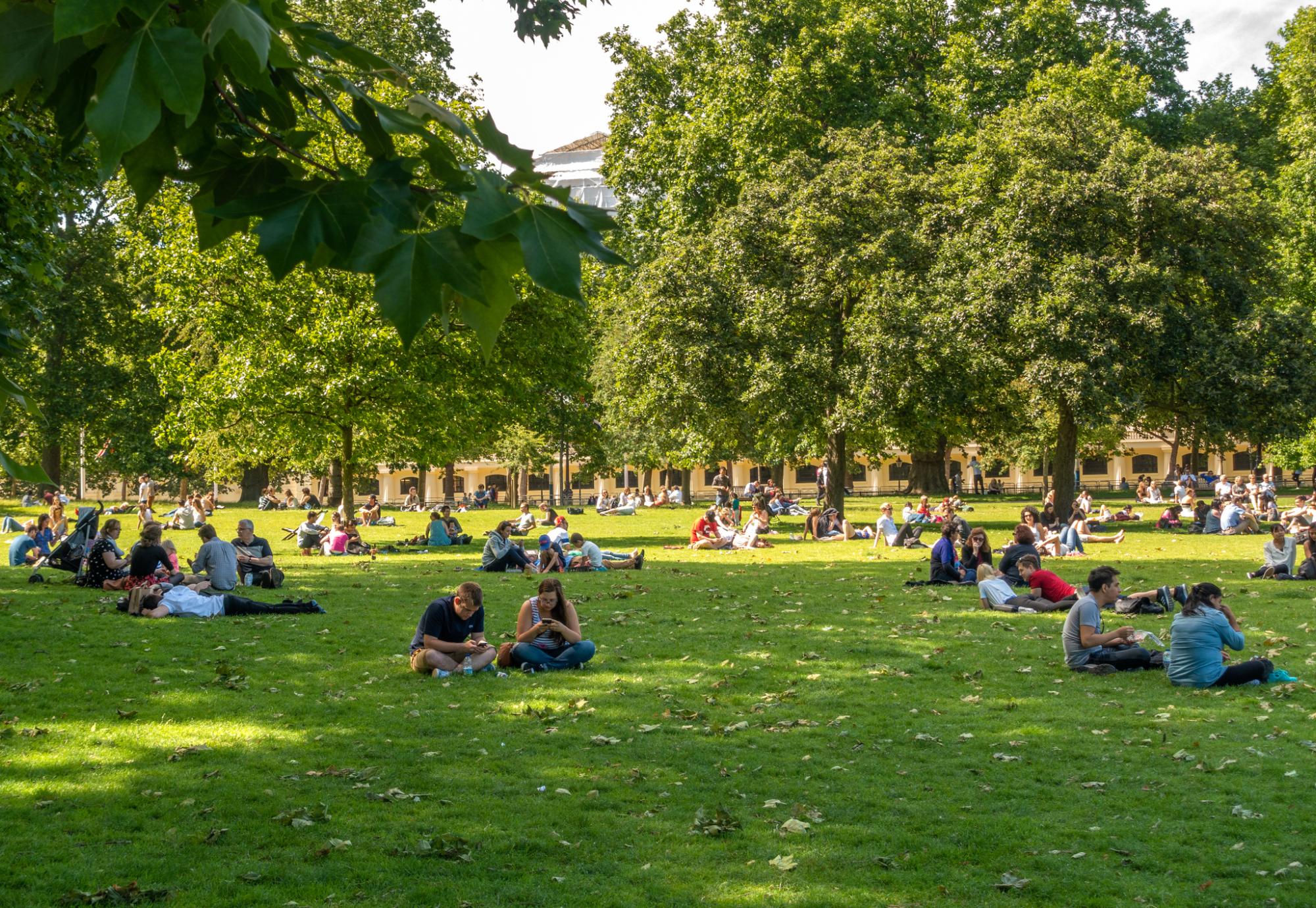 Socially distanced groups relax in a park.