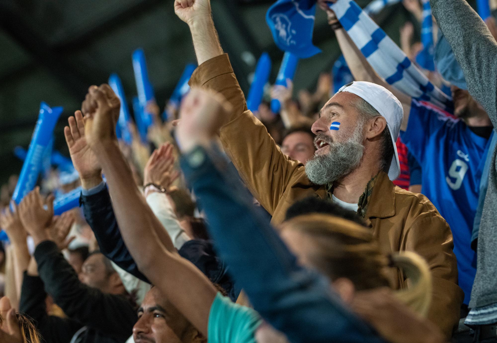 Sports fans cheer in stadium