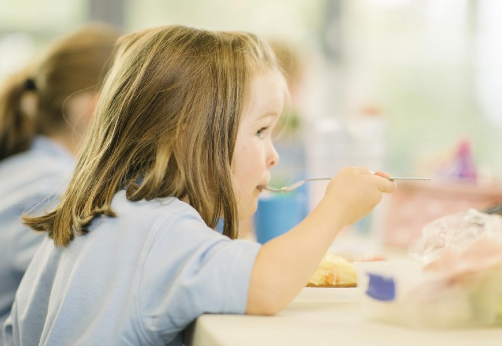 Child eating school dinner 