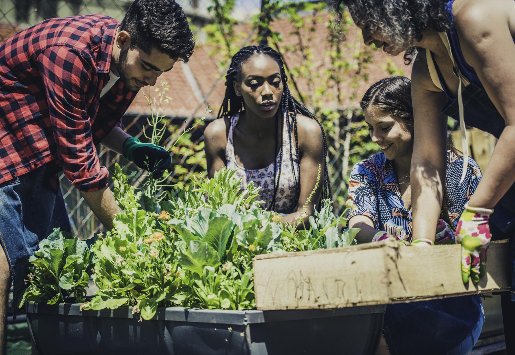 Group of young people engaging with their community by gardening.