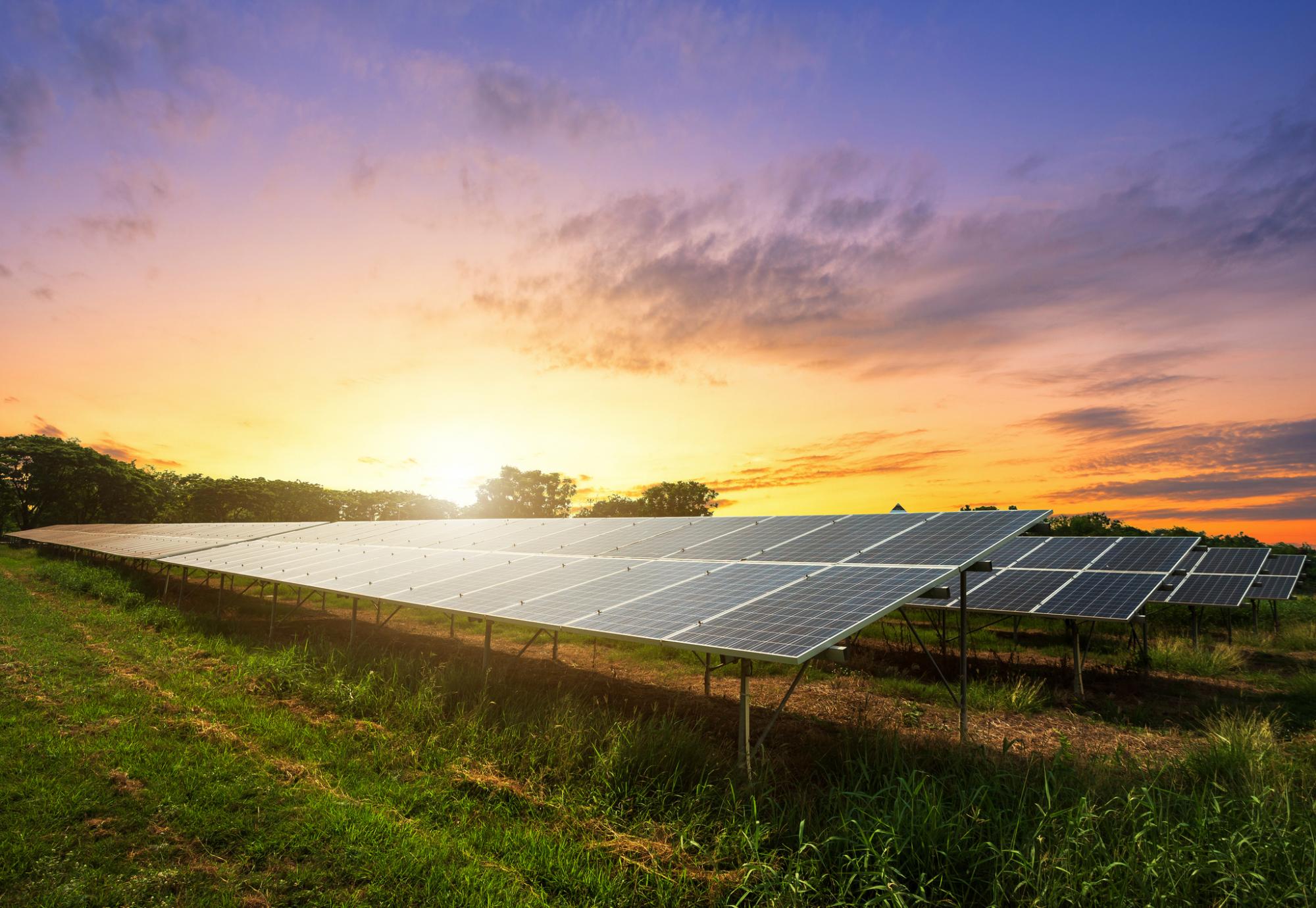 Solar farm glinting in the sunlight