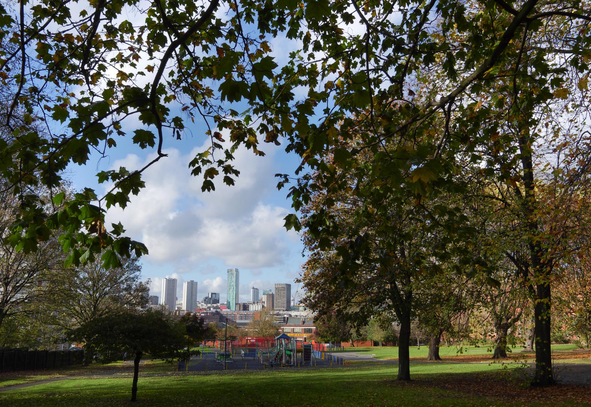 Birmingham park and skyline