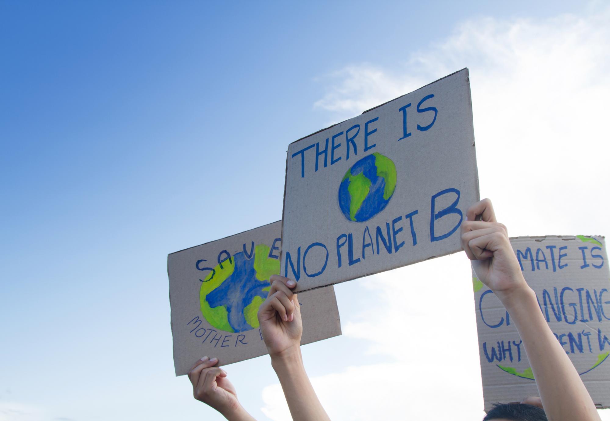 Climate change protestors