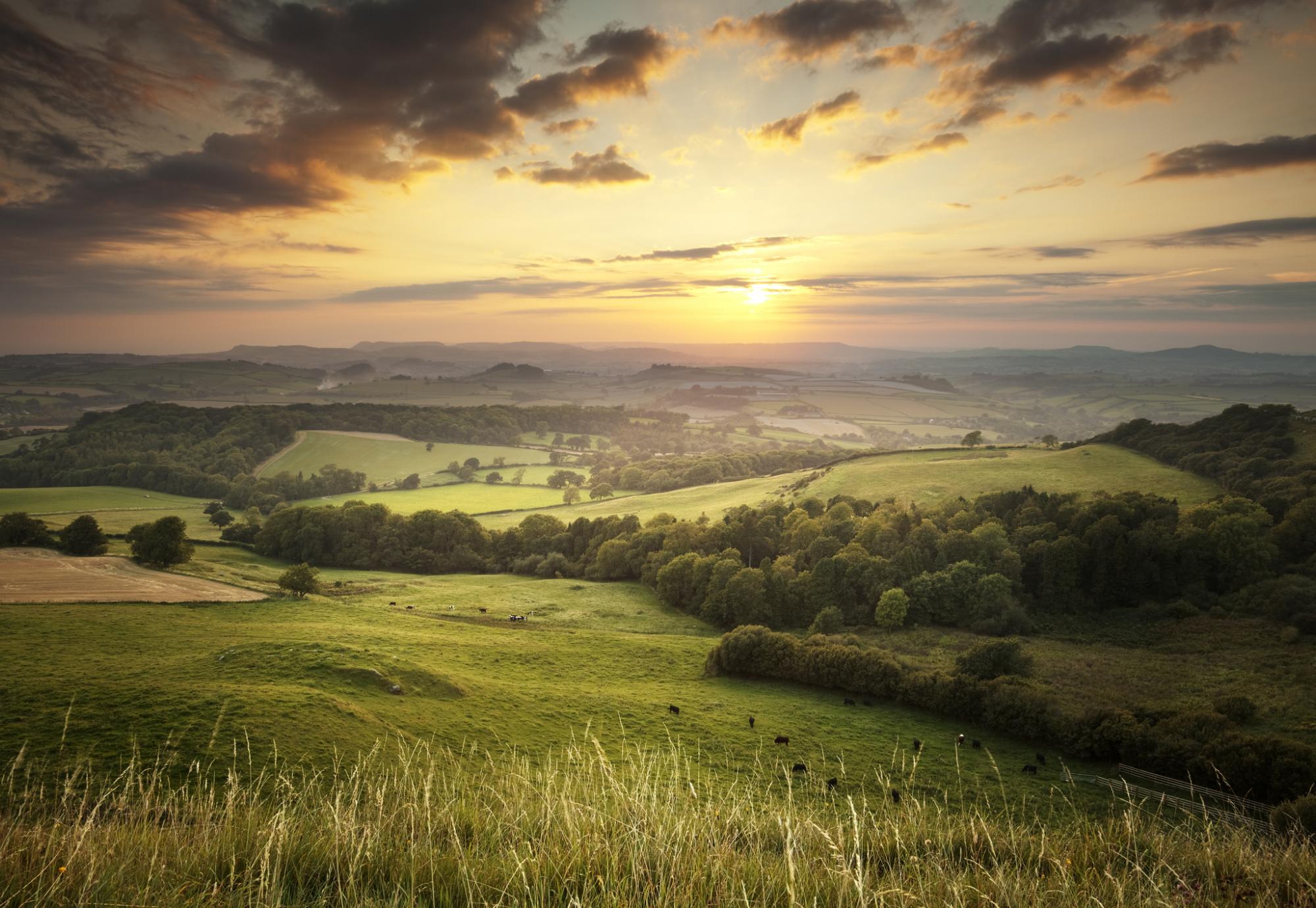 Eggardon Hill, Dorset