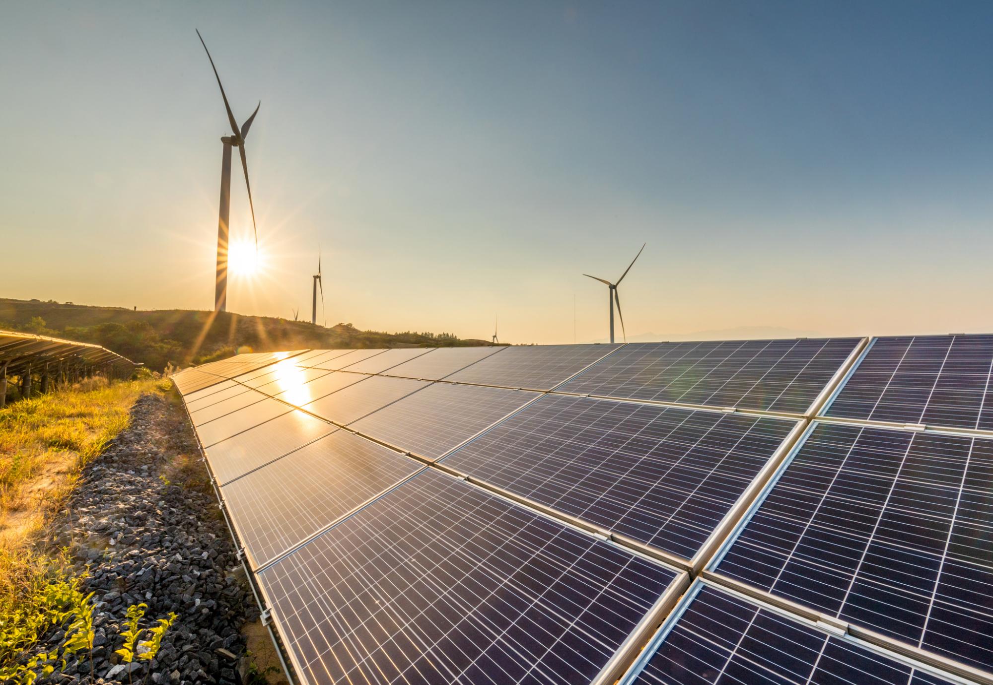 Solar panels and wind turbines