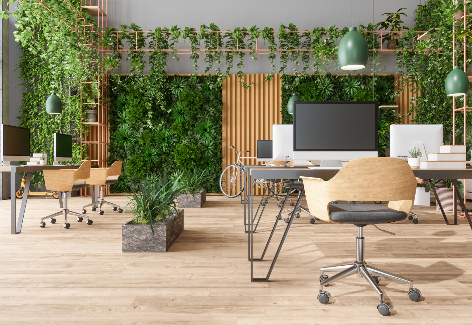 Eco-friendly office