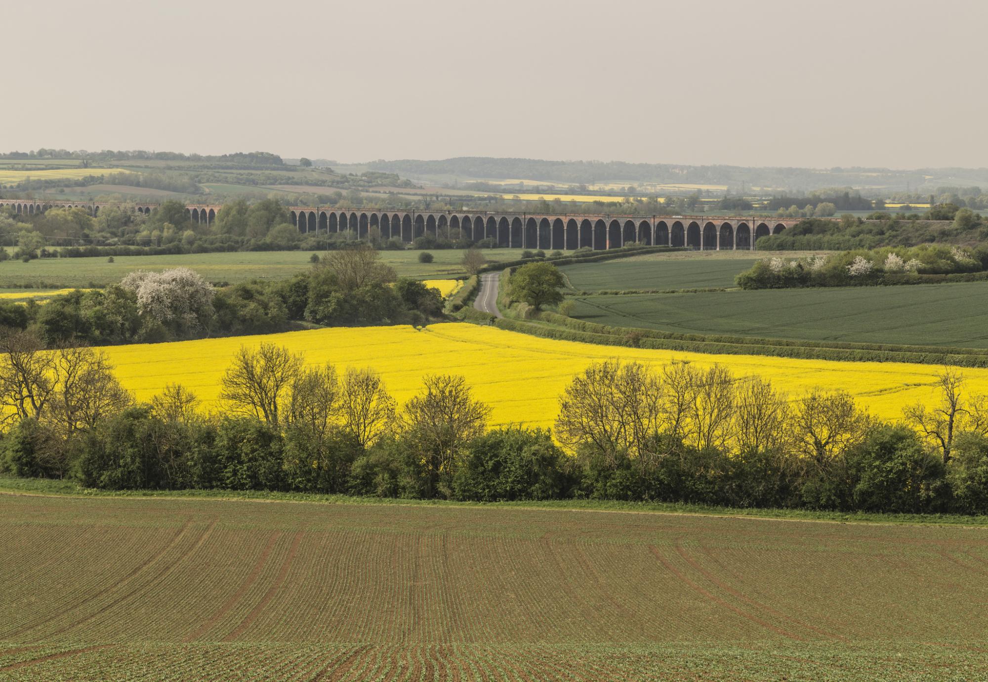 North Northamptonshire