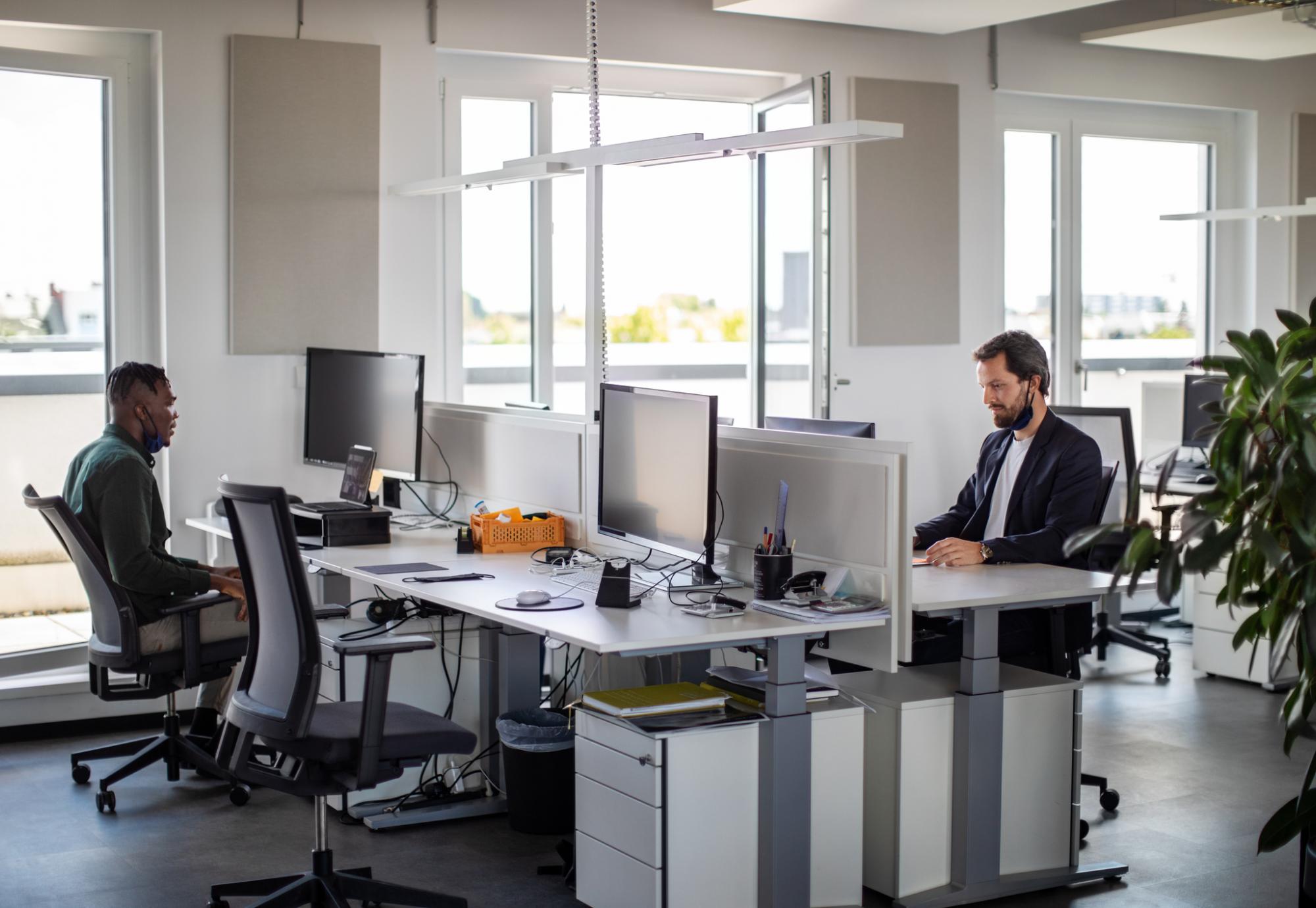 Office workers working at their desks