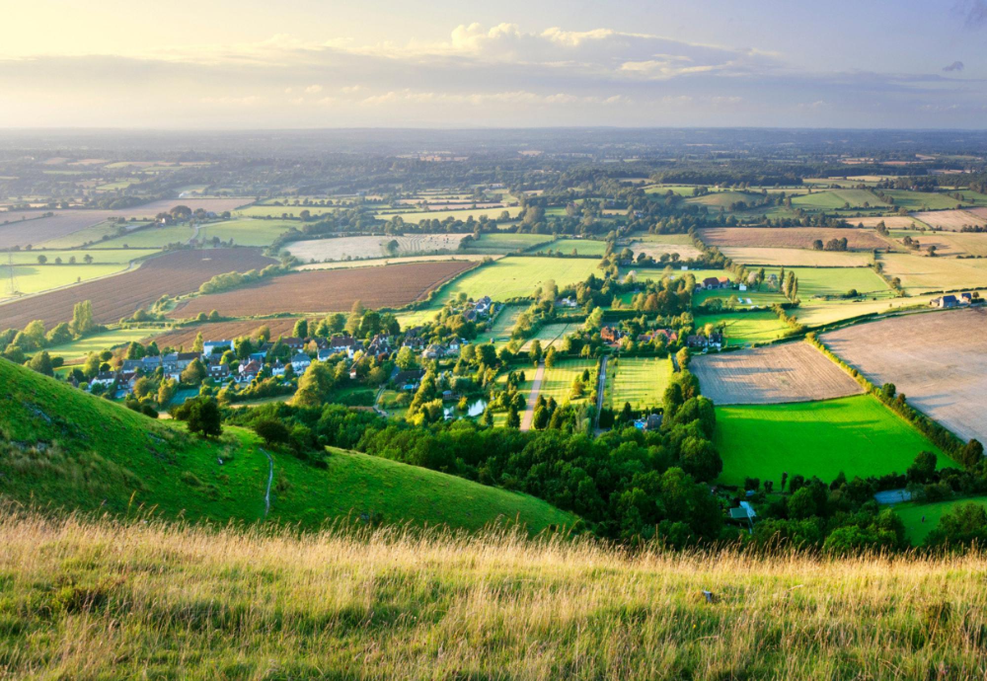 green belt land