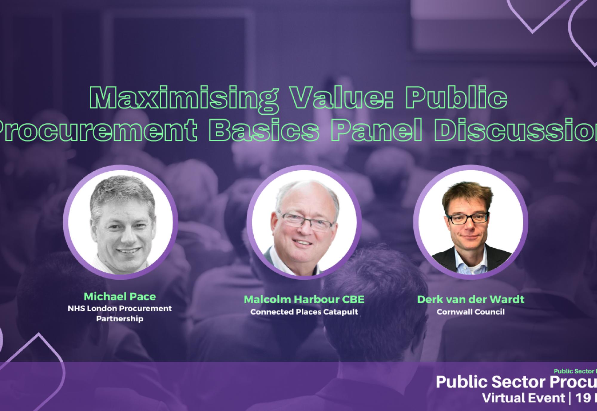 Maximising Value: Public Procurement Basics Panellists