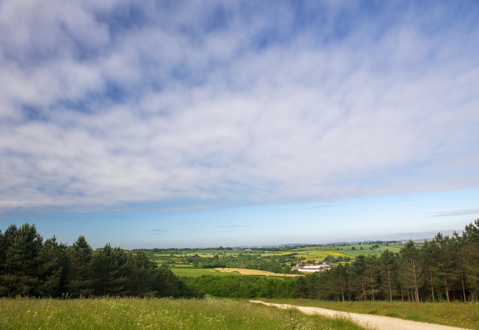 Panoramic view of Nottinghamshire countryside
