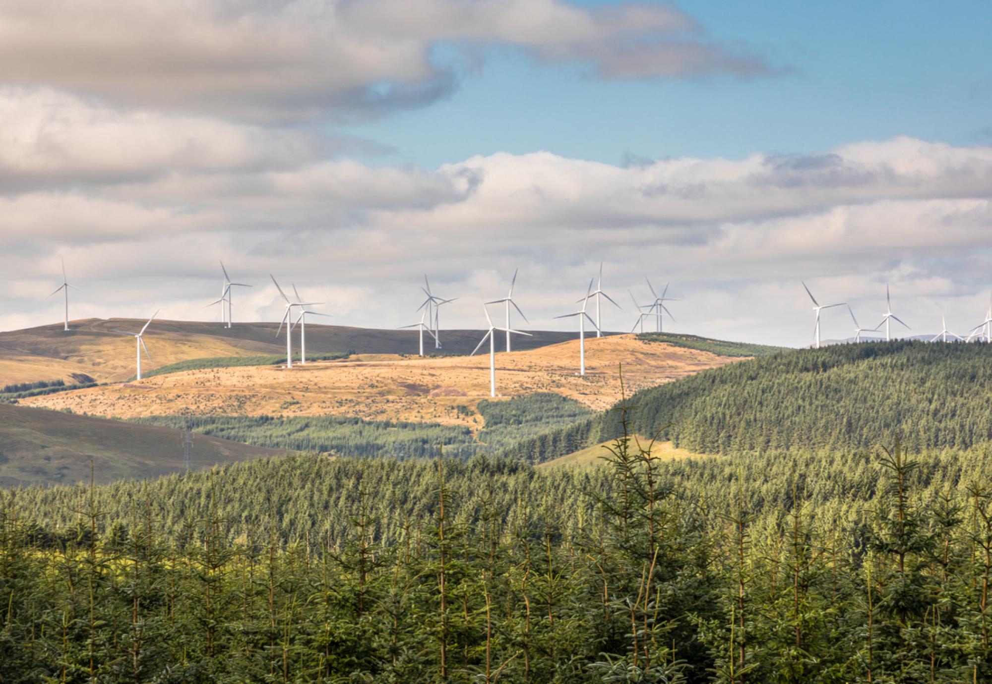 Scottish countryside with wind turbines in the background