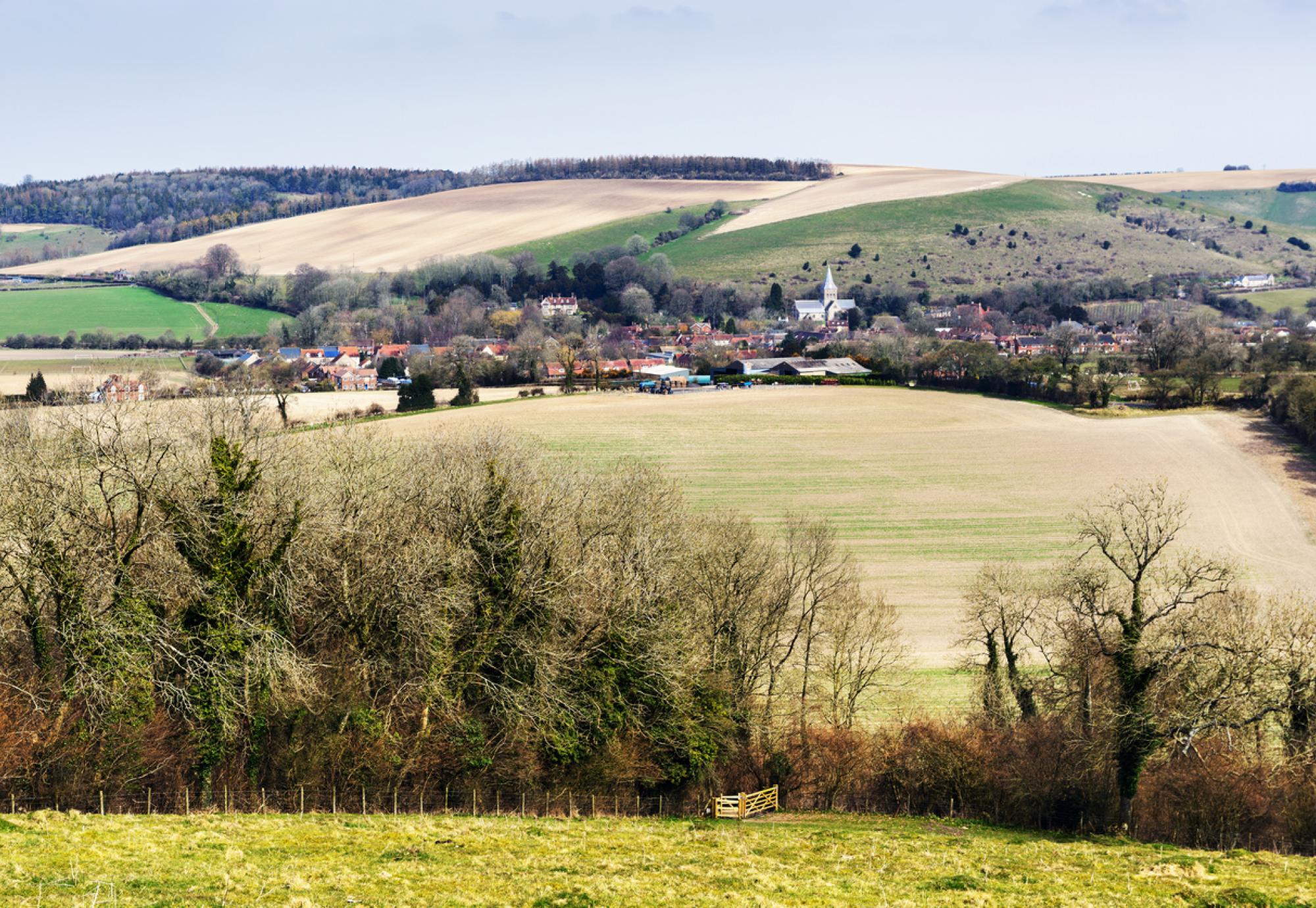 Test Valley panorama