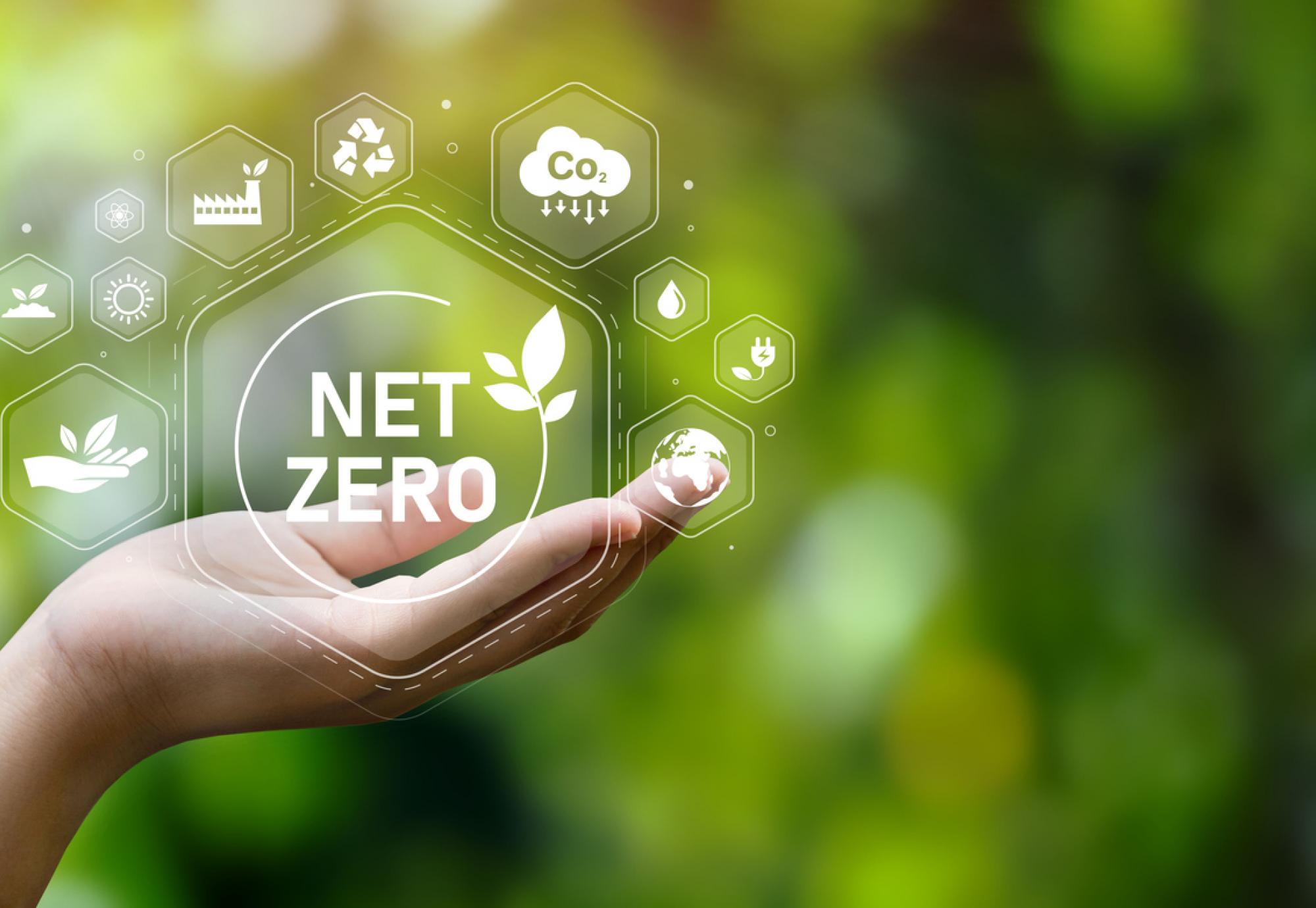 Net Zero in a hand