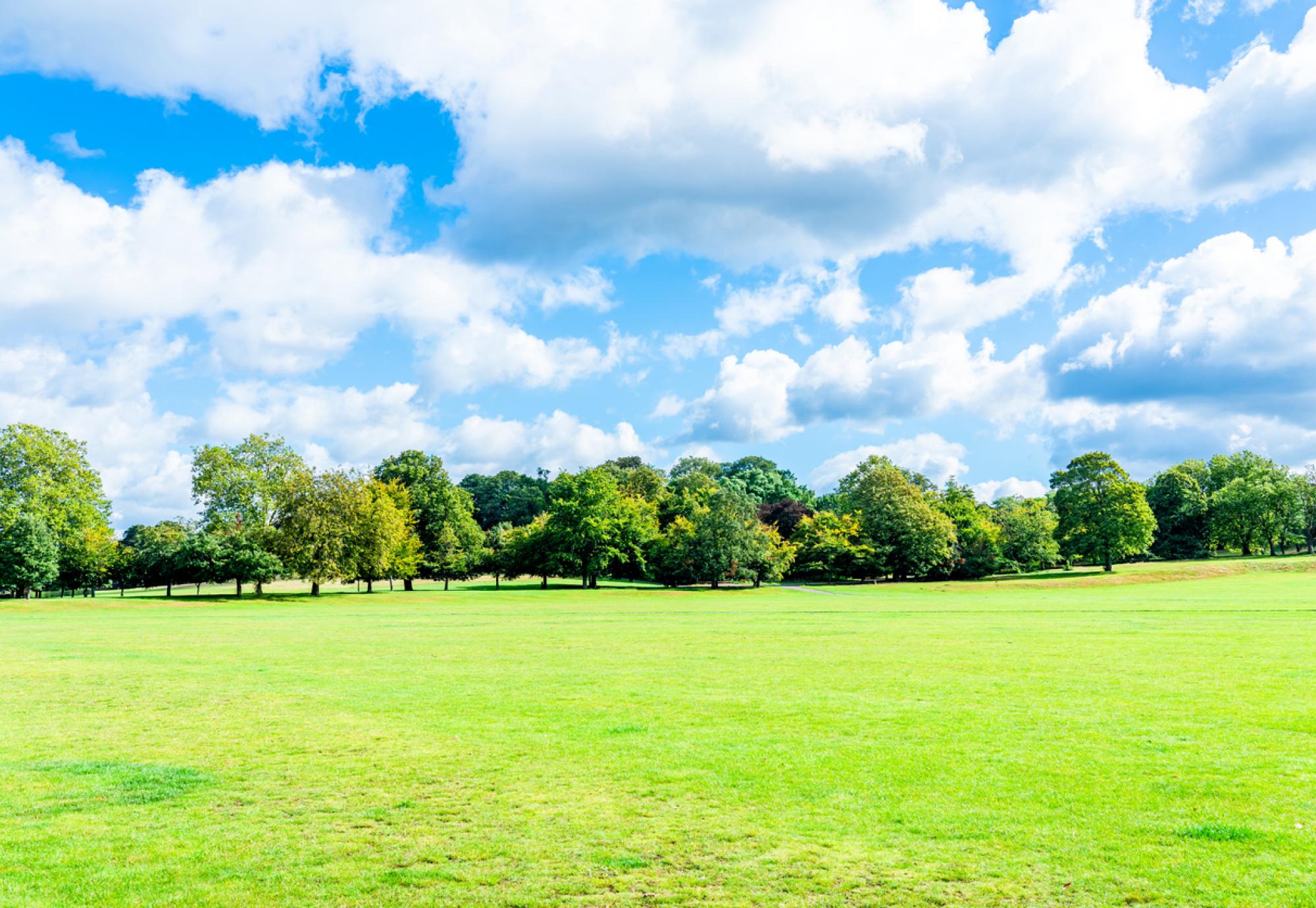 Summery park