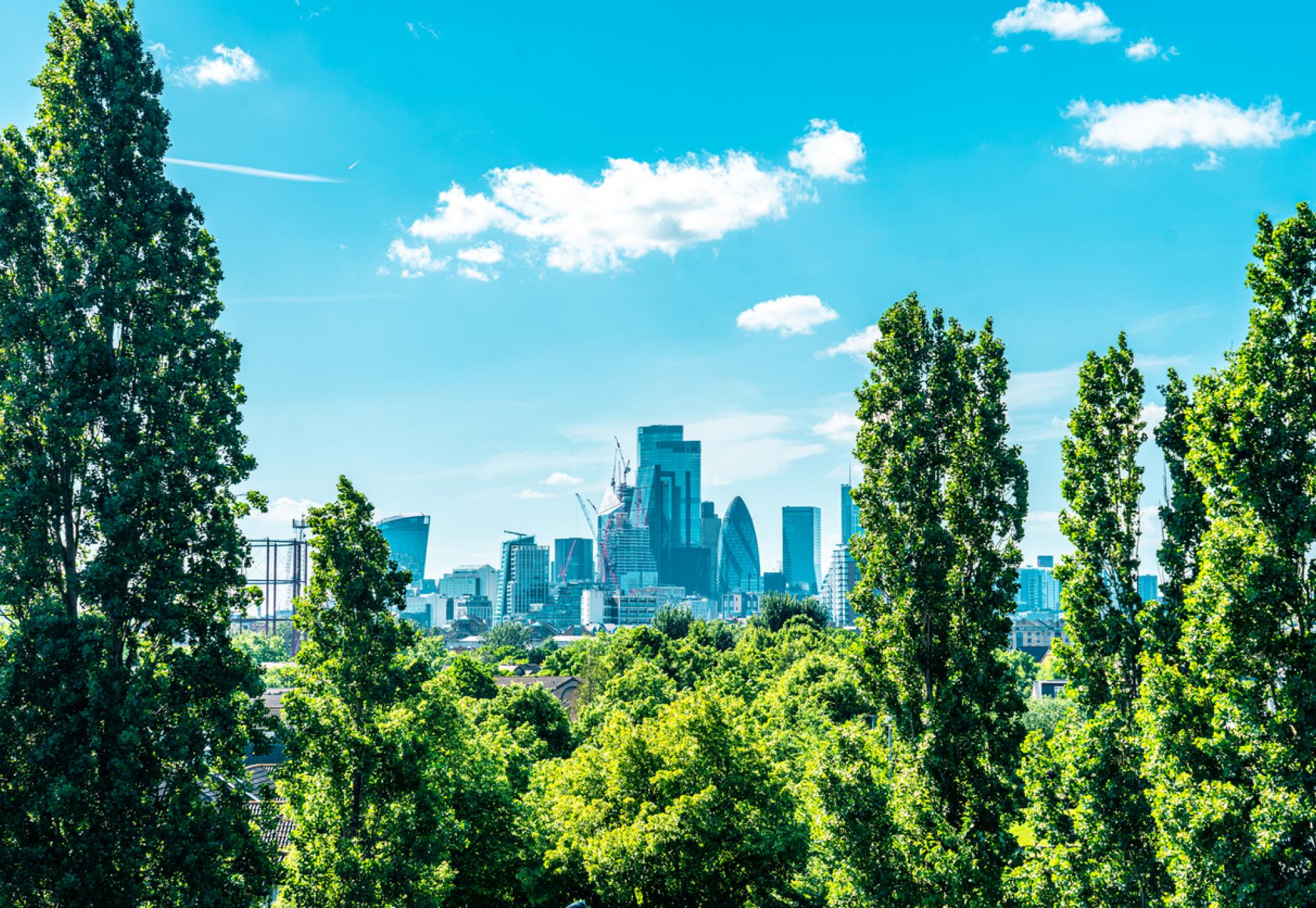 View of the City of London skyline through some trees