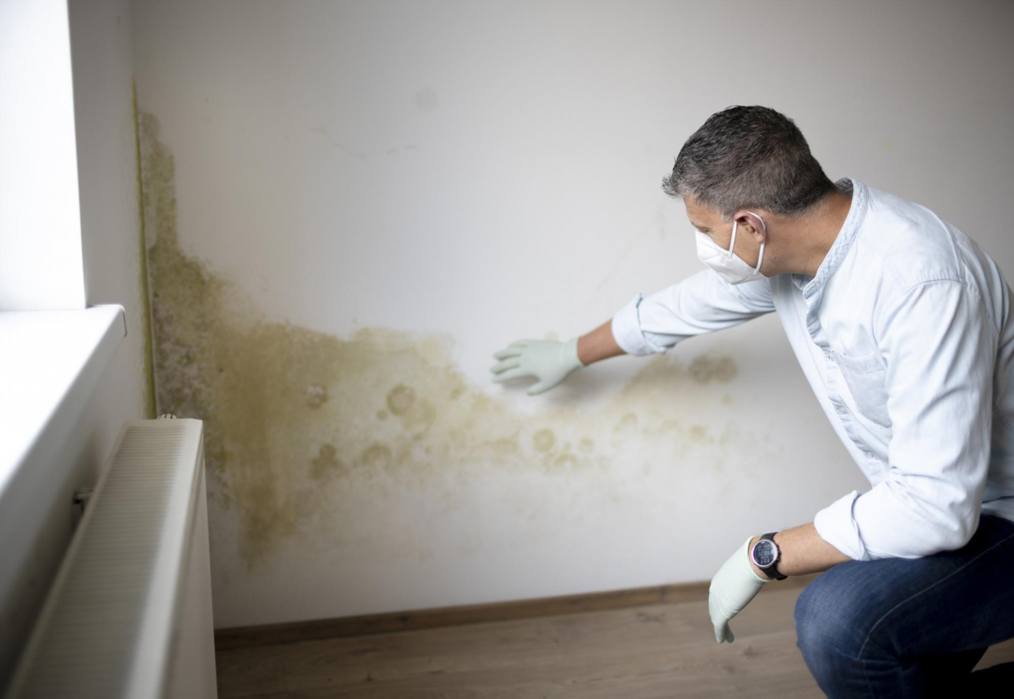 Man with mouth nose mask and blue shirt and gloves in front of white wall with mould