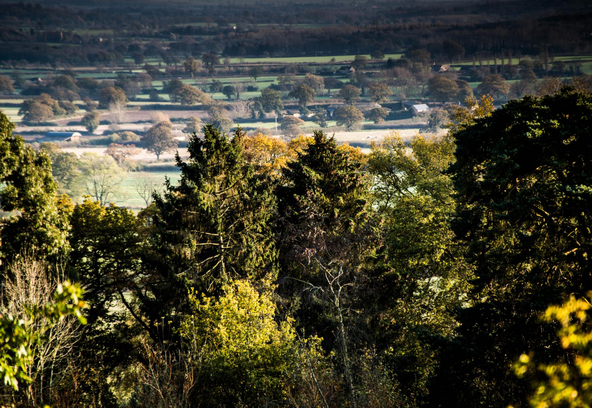 Chipping Norton, Oxfordshire