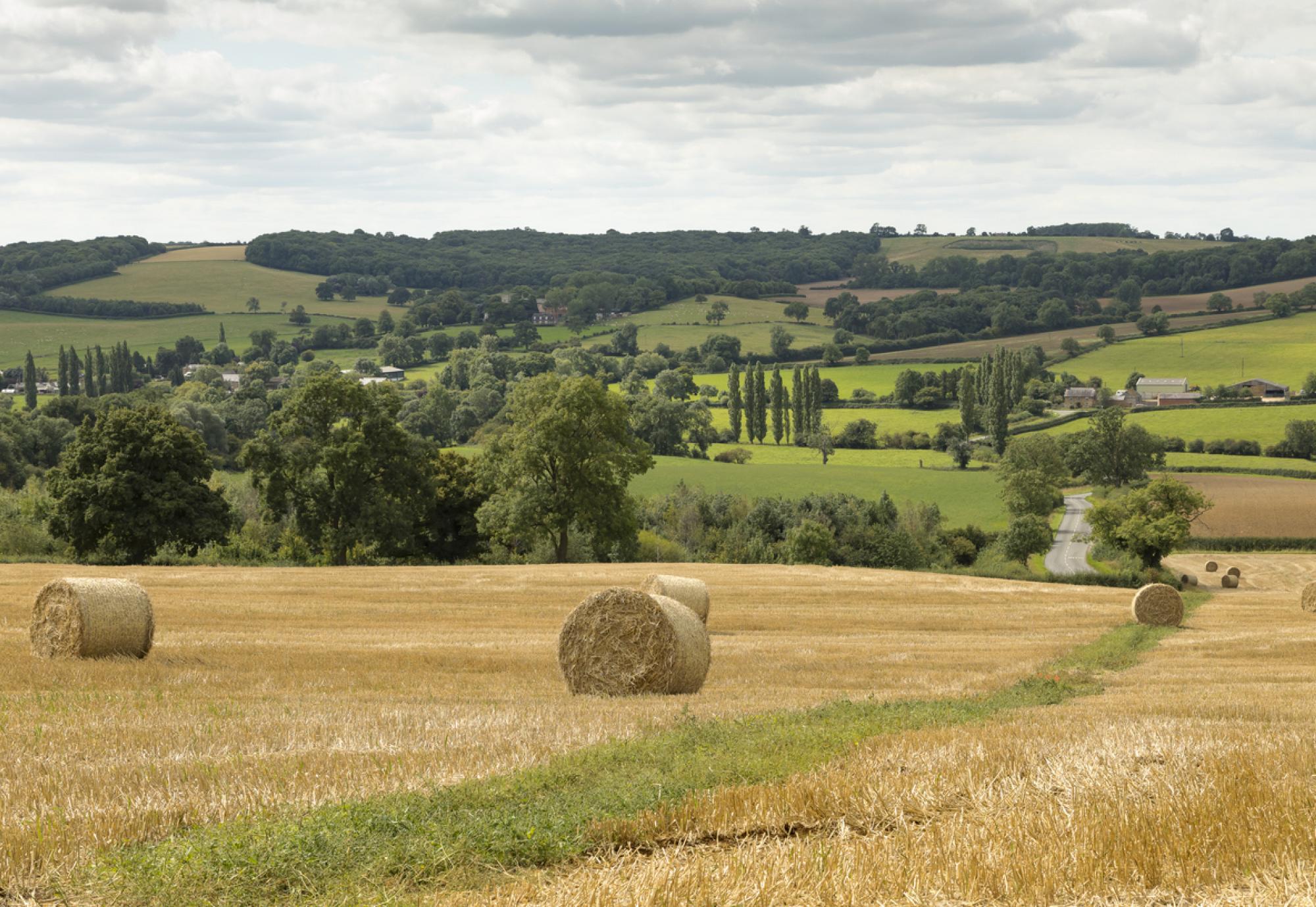 Countryside in Leicestershire