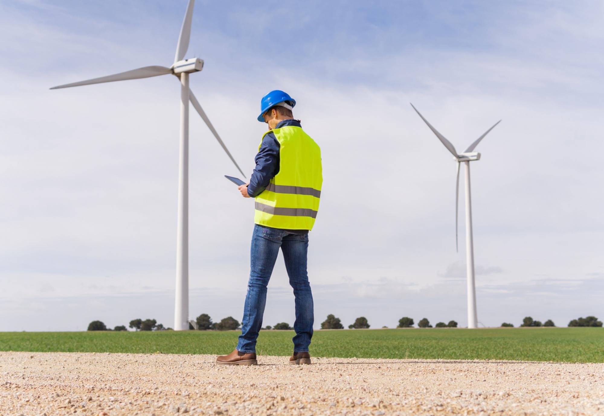 Unrecognizable worker from the renewable energy sector, from the back looking at his digital tablet in a field of wind turbines. Increase in energy prices in the market and alternative energies.