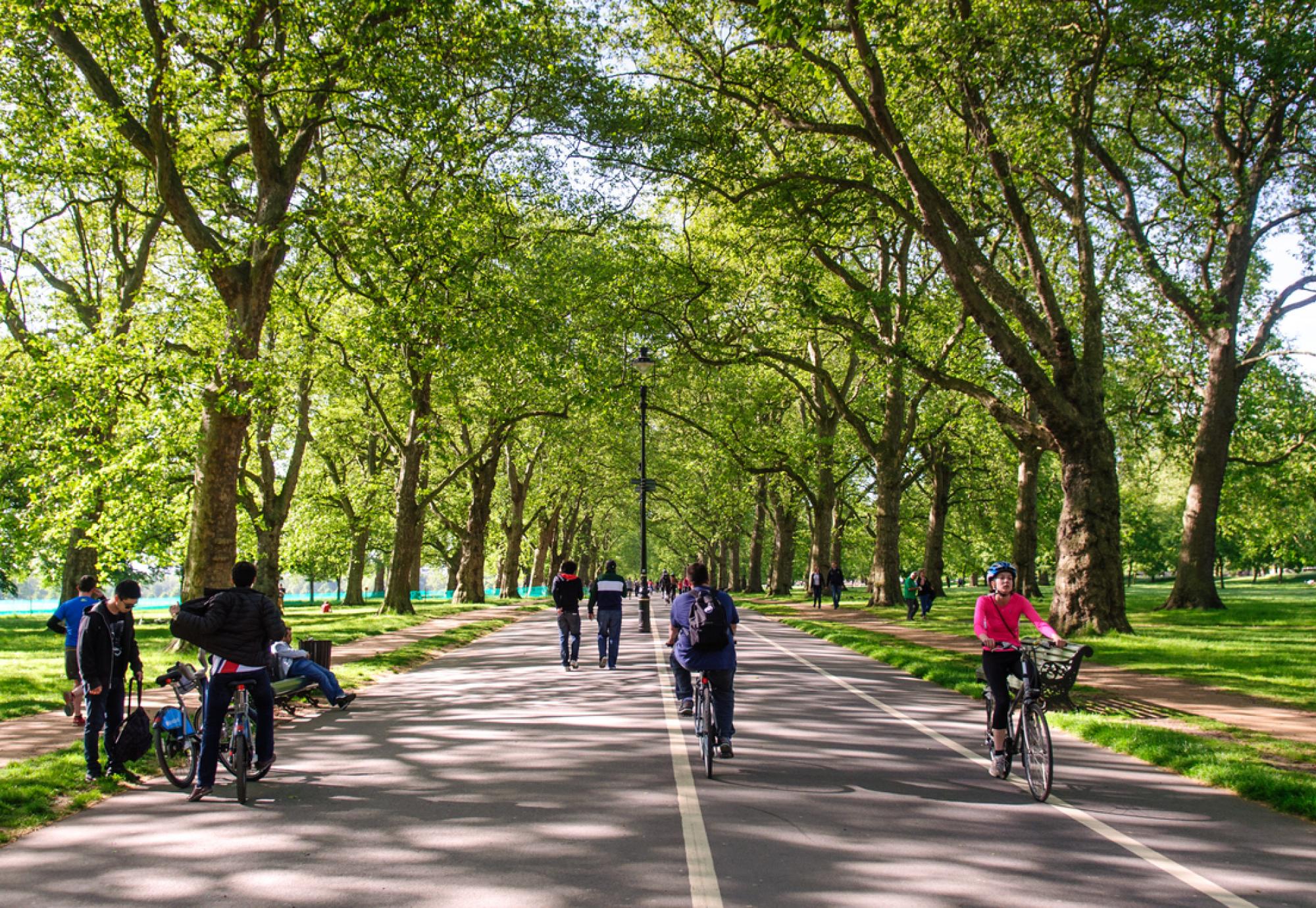 Hyde park cycle routes under tree canopy on a sunny day