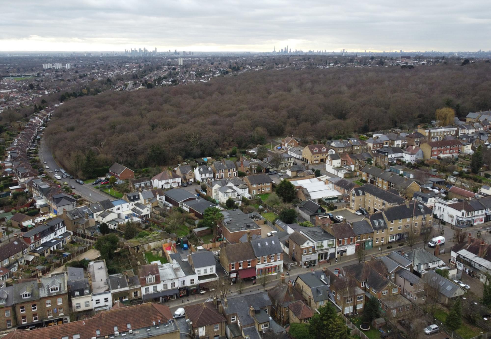 Aerial shot of Redbridge with trees in the background