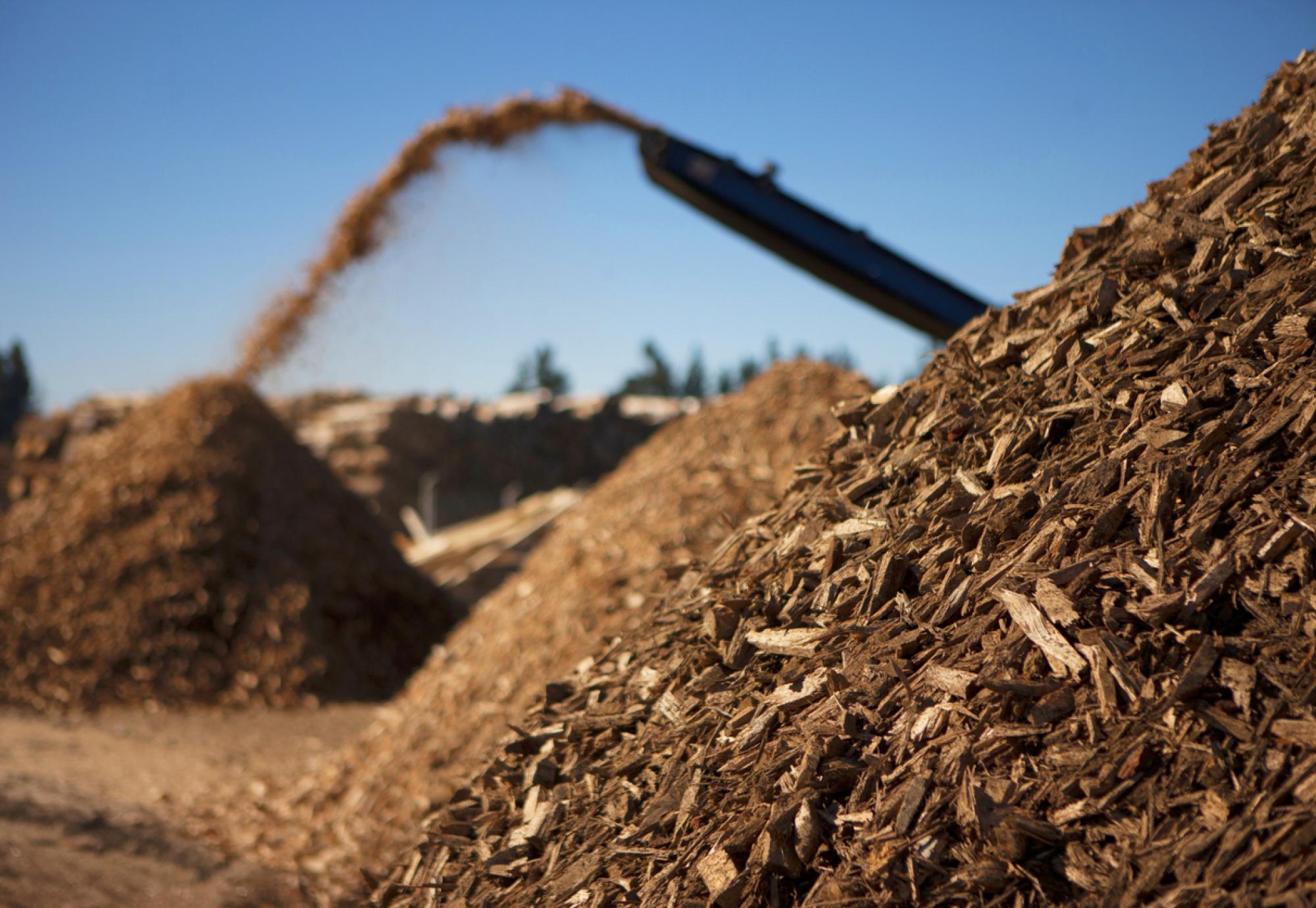 Biomass. A pile of biomass ready for us as fuel