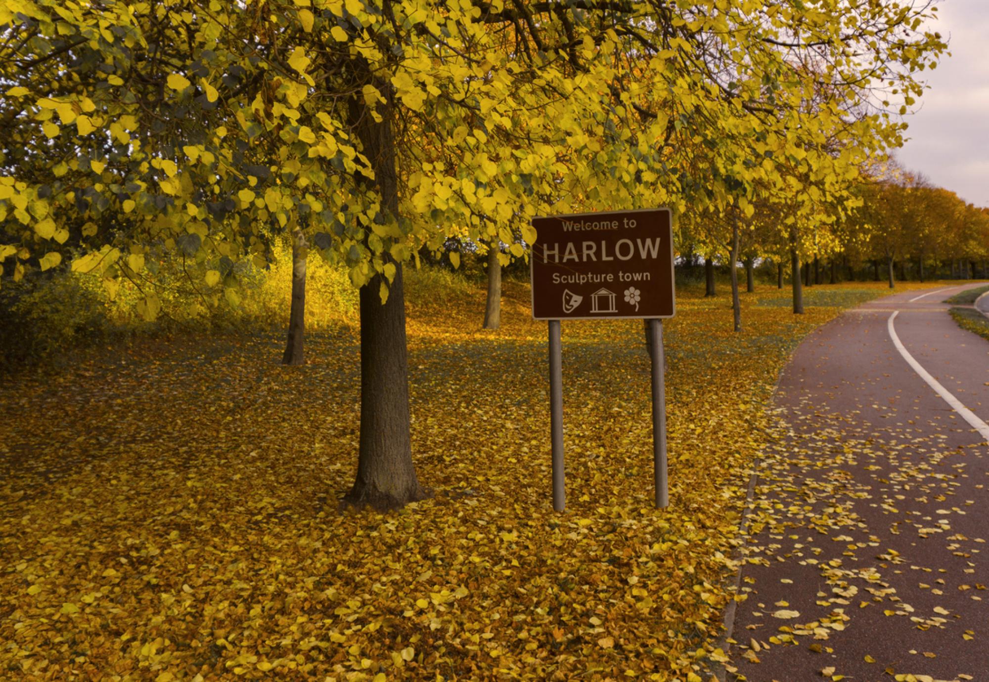 harlow sign
