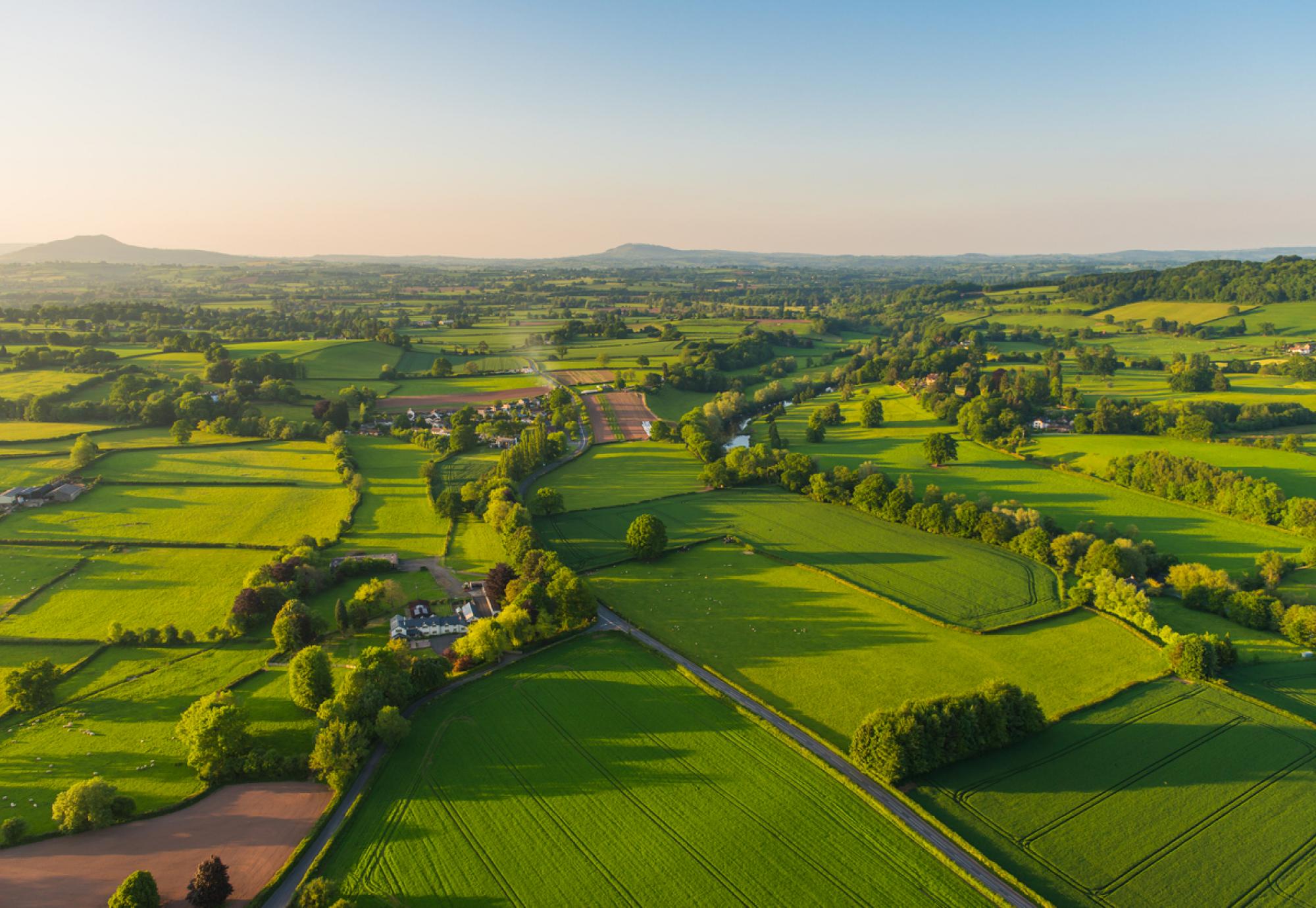 Fields in England