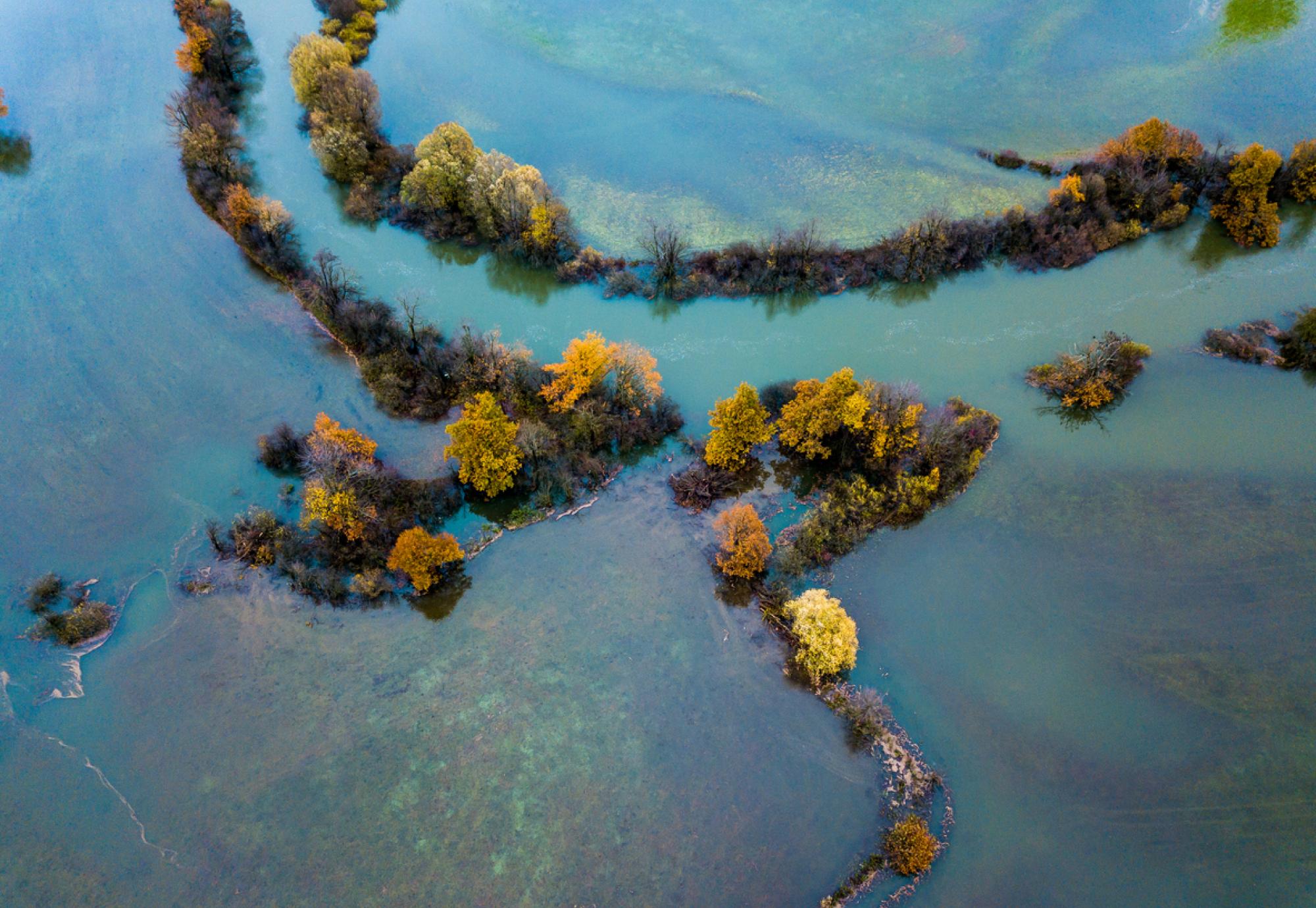 Flooding in a field