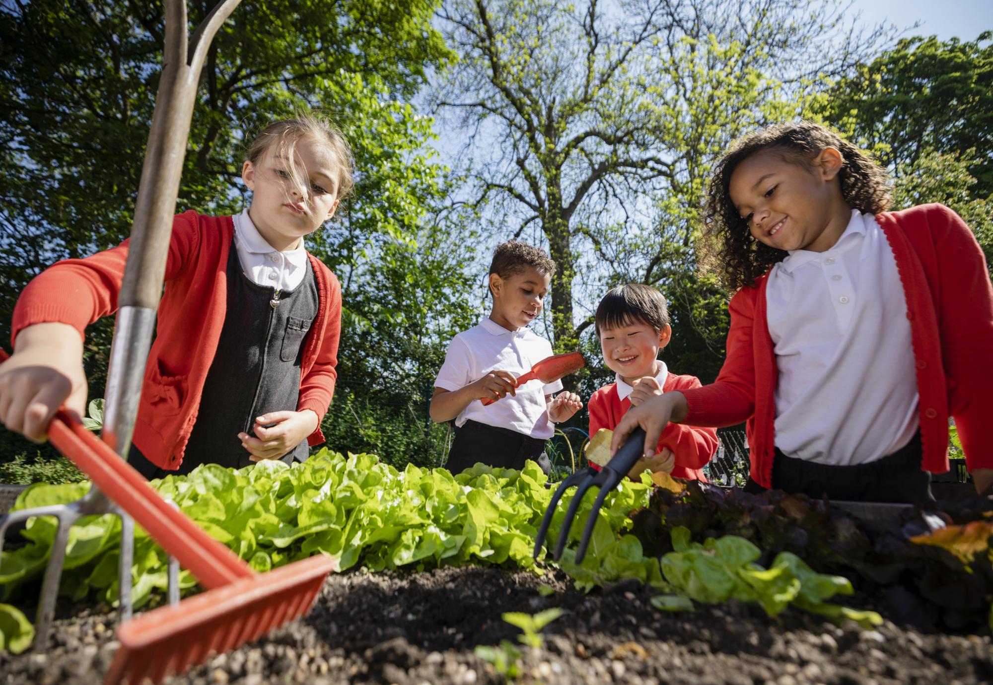 Children learning outside