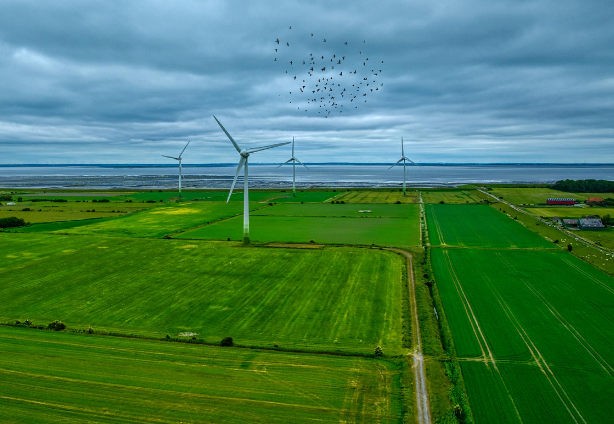 Wind turbines in the countryside