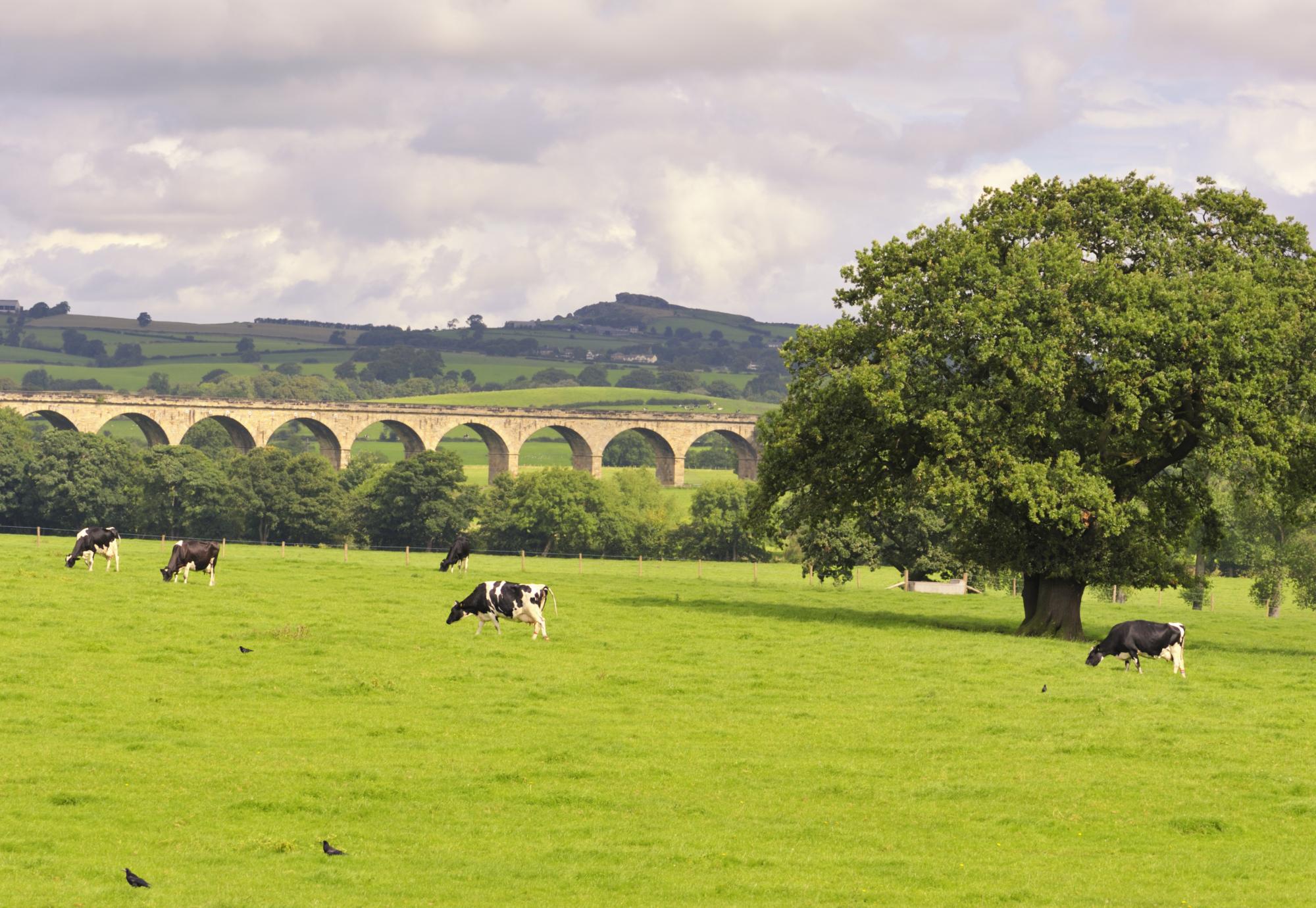 Countryside in West Yorkshire