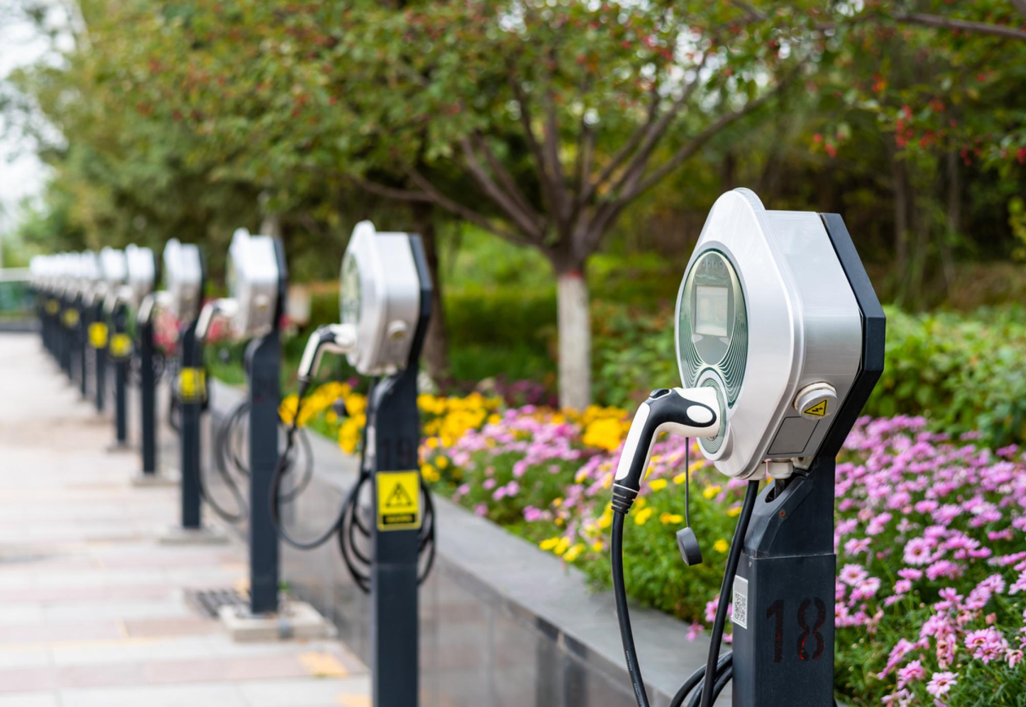 Electric car chargers in public park