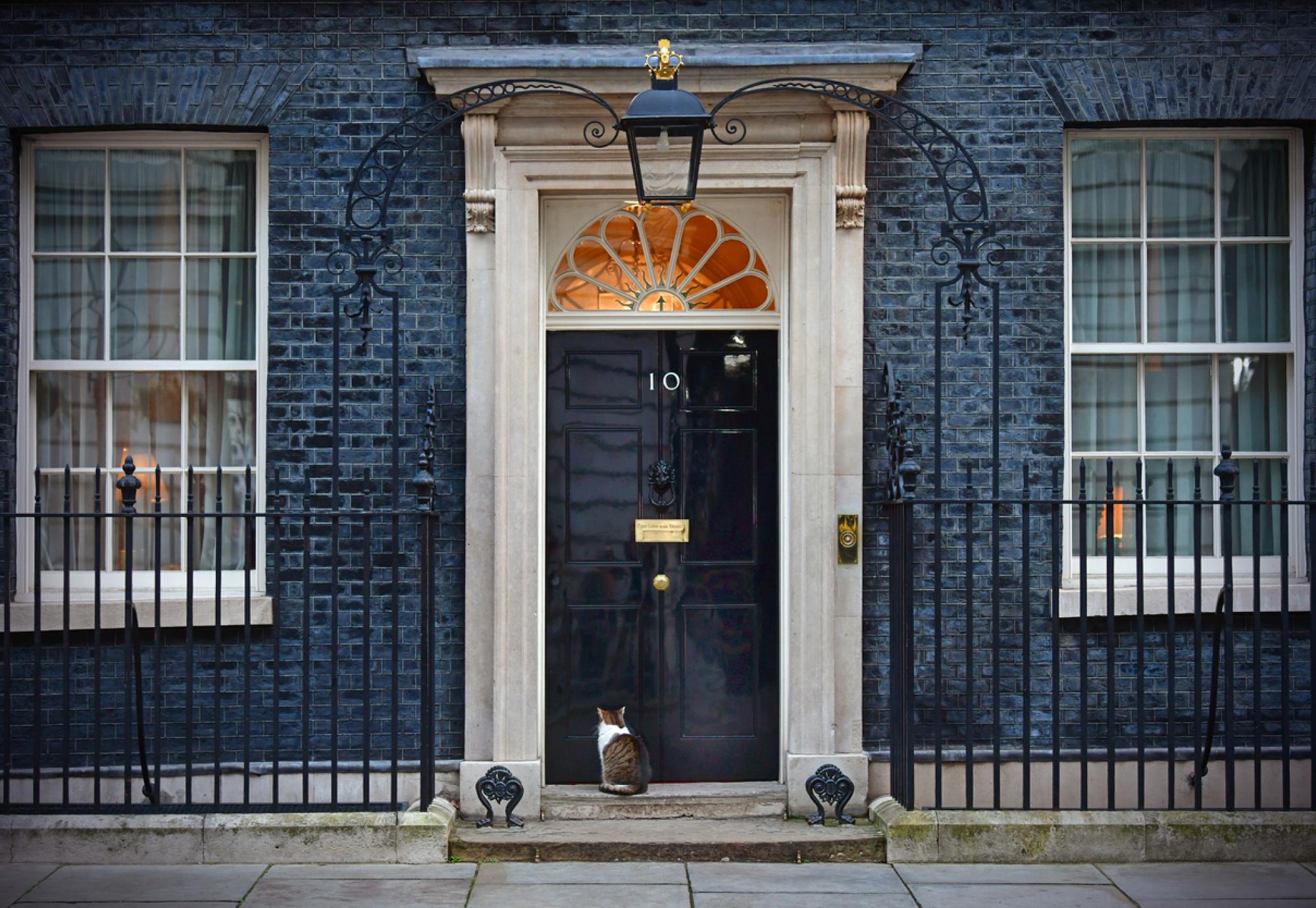 Resident cat sits in Downing Street outside number 10 - the official office and residence of the British Prime Minister in London, UK