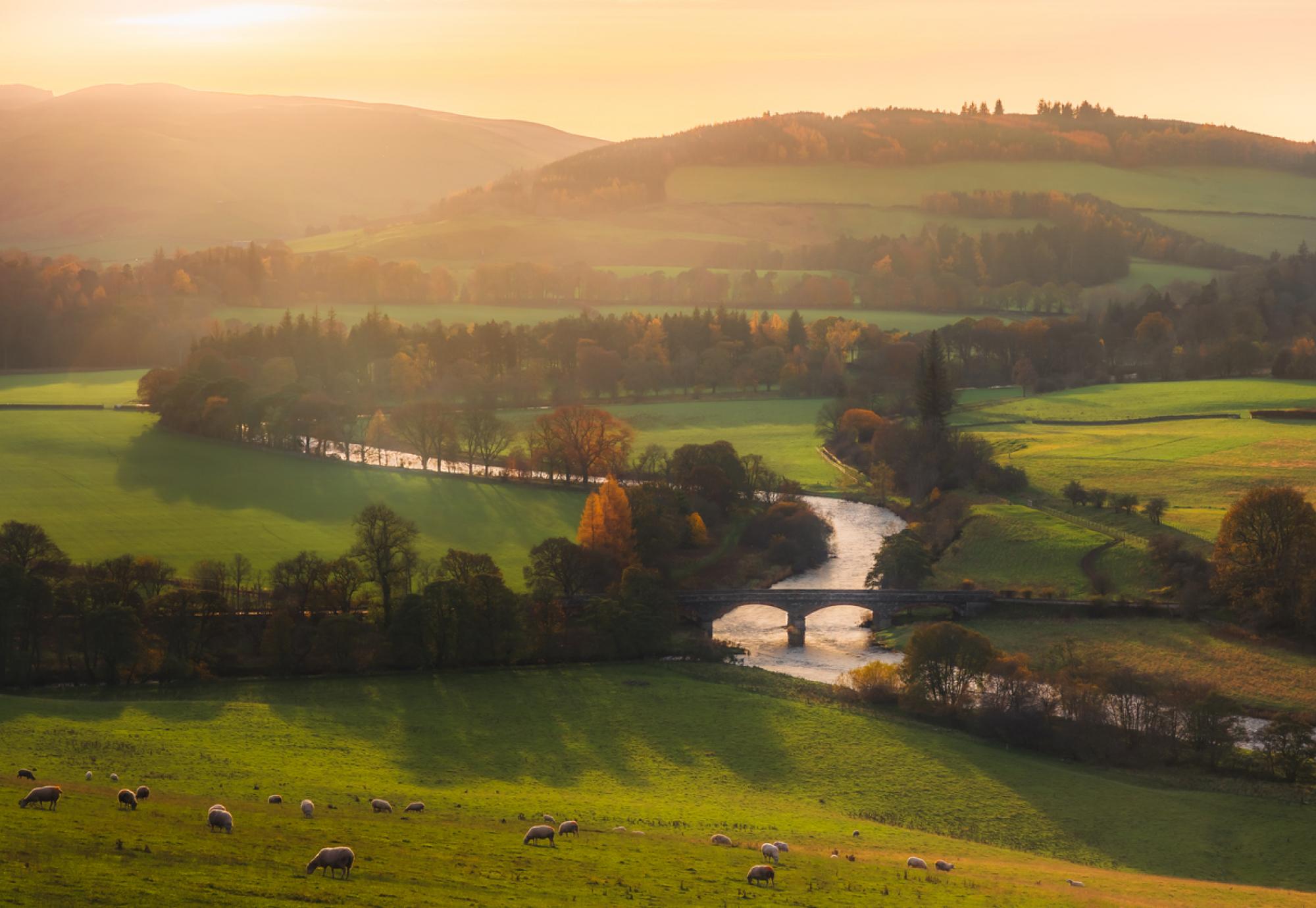 Scottish farming