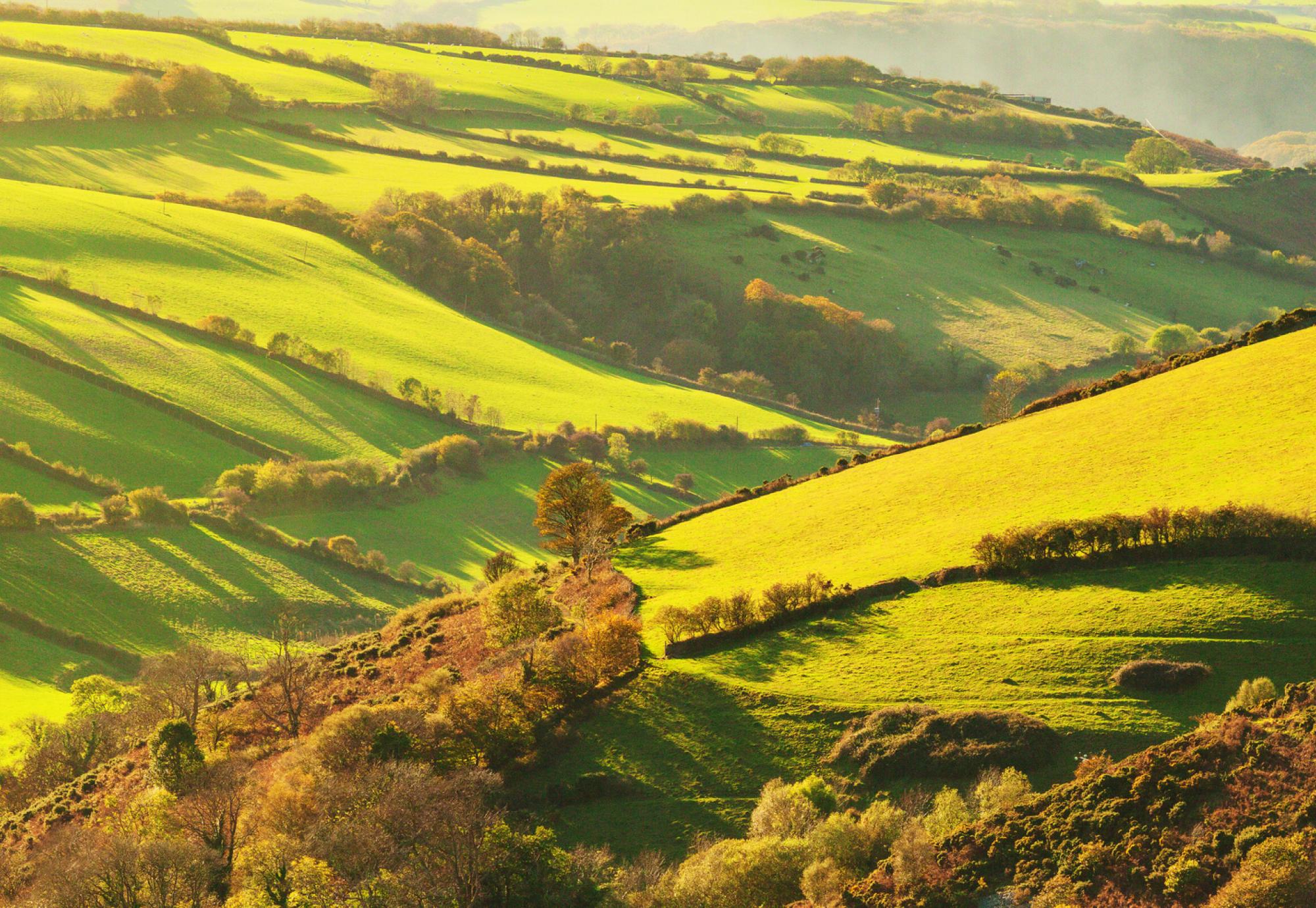 Devon